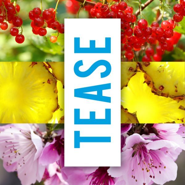 Impulse True Love Body Spray 35ml