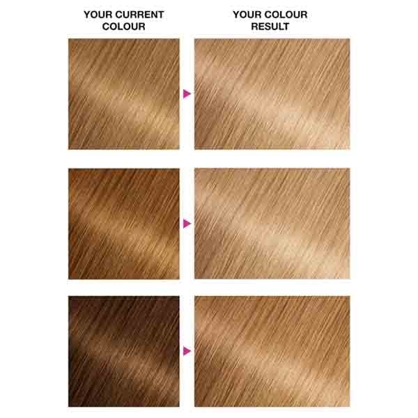 Garnier Olia 8.31 Golden Ash Blonde Permanent Hair Dye