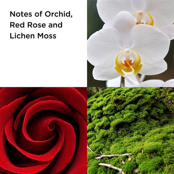 DNR Elizabeth Arden Red Door Revealed Eau De Parfum 100Ml