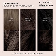 Clairol Colour Strong Zero Ammonia Hair Dye Dark Brown