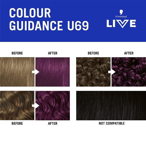 Schwarzkopf LIVE U69 Amethyst Chrome Permanent Hair Dye