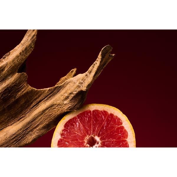 Ted Baker Tailored Wood Edp 100Ml