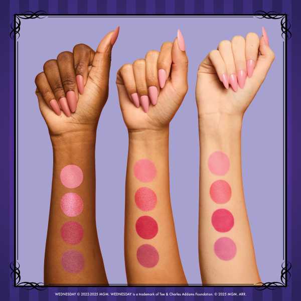 NYX Professional Makeup X Wednesday Blush Palette Enid