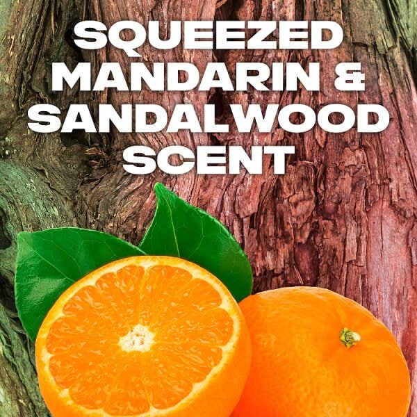 Lynx 48 Hour Anti-Perspirant Stick Deodorant Africa 50ml