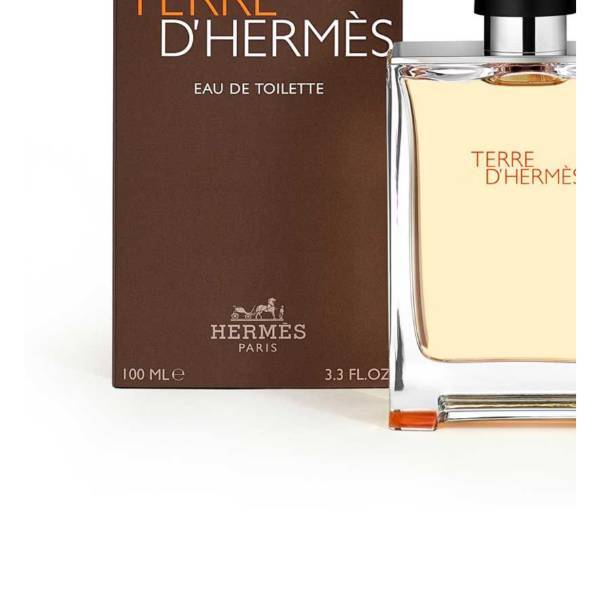 Hermes Terre D'hermes Edt-S 100Ml