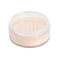 Filter Finish Loose Setting Powder SH2 Translucent