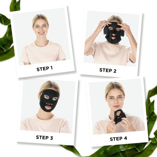 Garnier SkinActive Charcoal and Algae Hydrating Sheet Mask