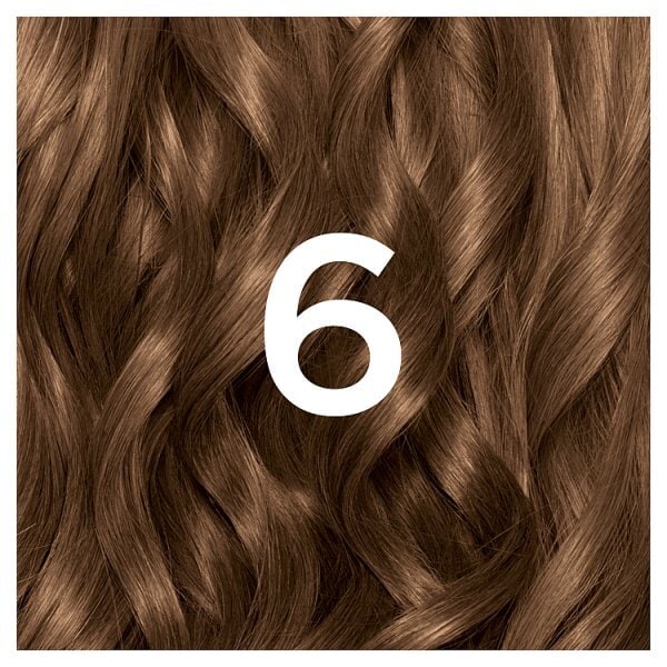 Garnier Nutrisse 6 Light Brown Permanent Hair Dye