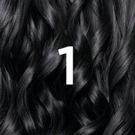 Garnier Nutrisse Permanent Hair Dye Black 1