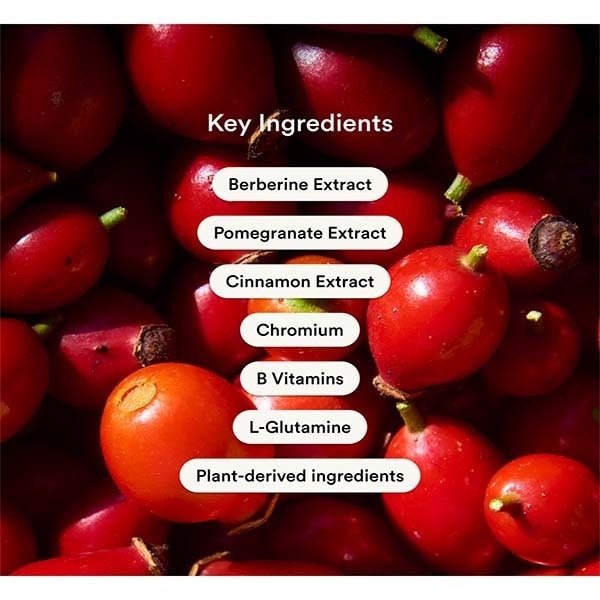 Kind Patches Berberine Patches x30
