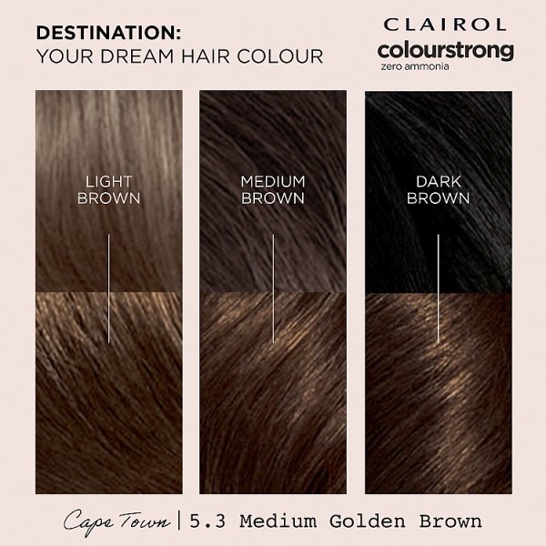 Clairol Colour Strong Permanent Hair Dye 5.3 Medium Golden Brown
