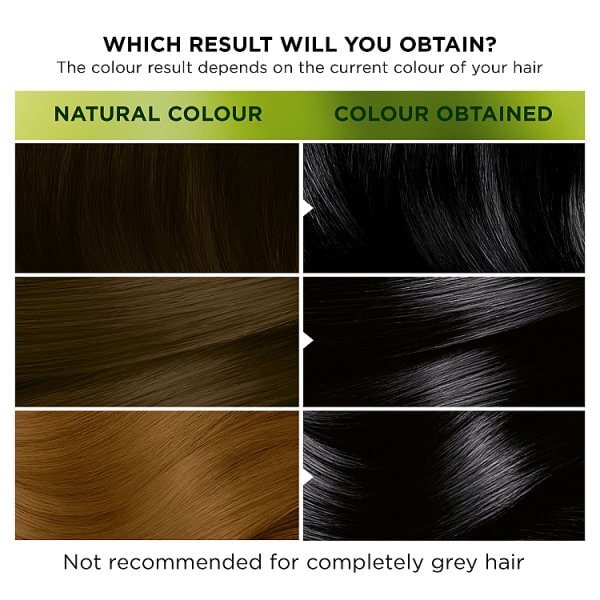 Garnier Nutrisse 1.1 Infinite Black Permanent Hair Dye