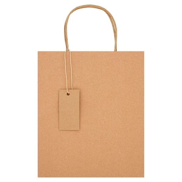 Medium Recyclable Kraft Gift Bag for All Occasions