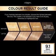 Preference Infinia 9.1 Viking Light Ash Blonde Hair Dye