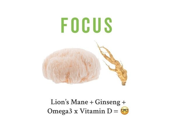 Grass & Co. Focus Lion's Mane Mushrooms Capsules