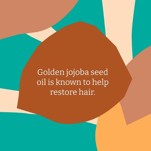 Faith in Nature Jojoba Shampoo 400ml