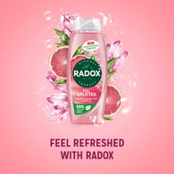 Radox Mineral Therapy Feel Uplifted Shower Gel 450 ml