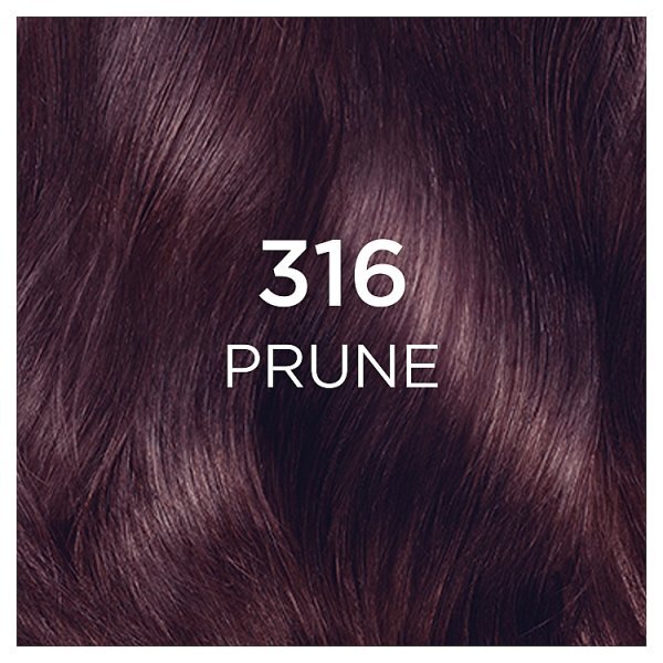 Casting Creme 316 Plum Burgundy Semi Permanent Hair Dye