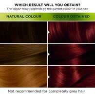 Garnier Nutrisse Ultra Permanent Hair Dye Dark Cherry 2.6