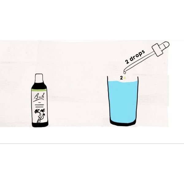 Bach Flower Remedy Mimulus 20ml