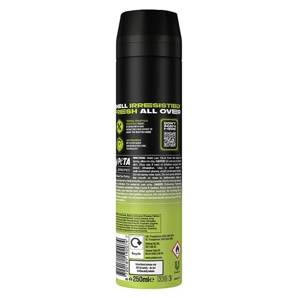 Lynx Epic Fresh Aerosol Body Spray 250 ml