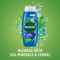 Radox Feel Awake 2-in-1 Shower Gel & Shampoo 450 ml