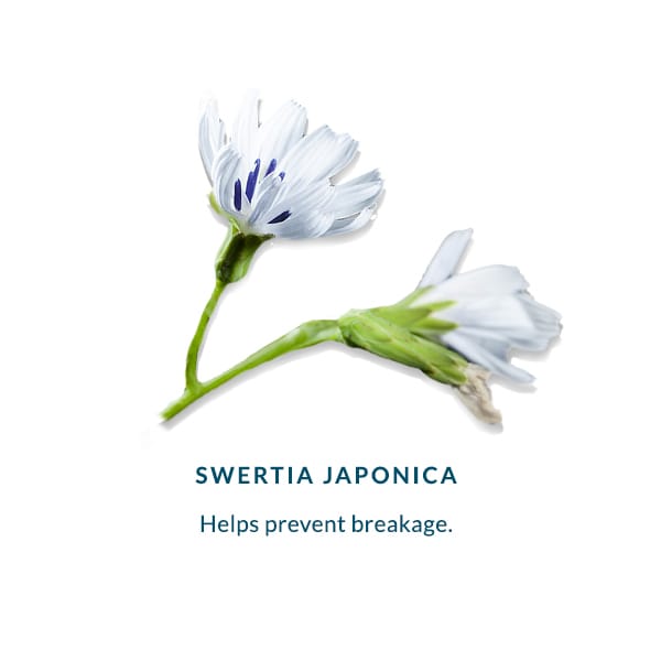 DHC Eyelash Tonic 6.5ml