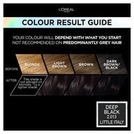 Preference Vivids (Colorista) Hair Dye Deep Black 2.01