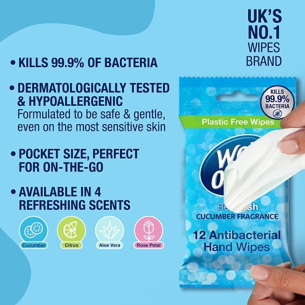 Wet Ones Antibacterial Biodegradable Hand Wipes x12