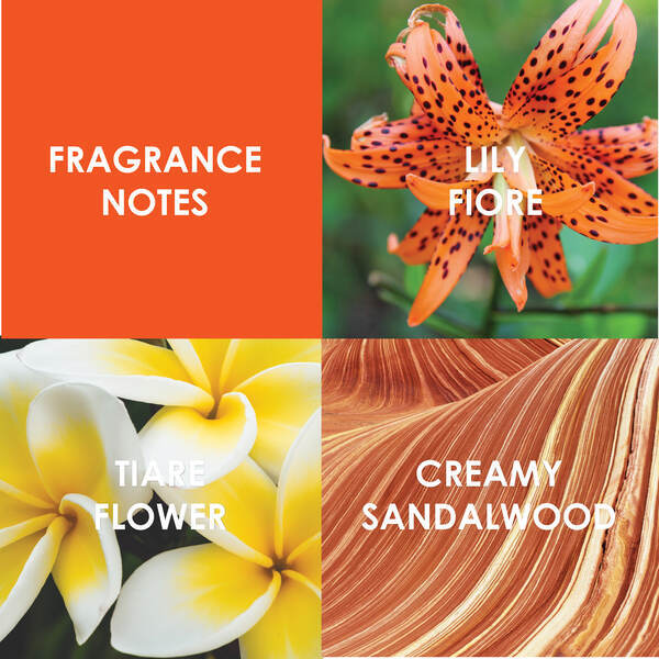 Britney Spears Blissful Fantasy Edt 100Ml