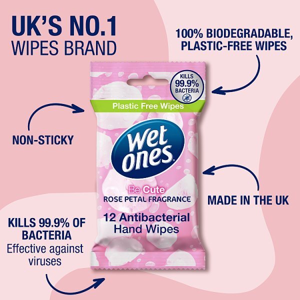 Wet Ones Be Cute Biodegradable Anti Bac Wipes