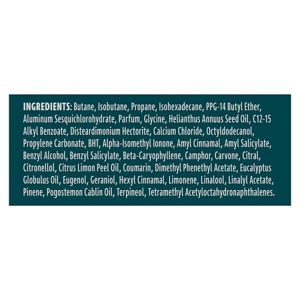 Sure Men Nonstop Protection Active Dry Anti-Perspirant Aerosol 250 ml