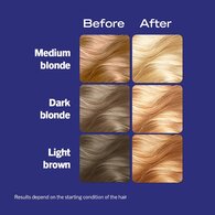 LIVE Intense Lightener Permanent Hair Dye Absolute Platinum