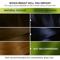 Garnier Nutrisse Permanent Hair Dye 3.10 Midnight Blue