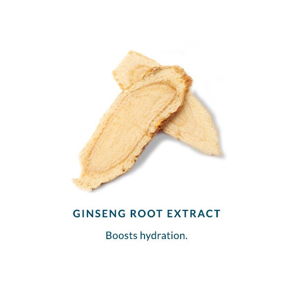 DHC Lip Cream 1.5g