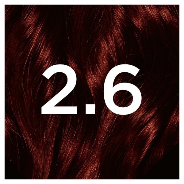Garnier Nutrisse 2.6 Dark Cherry Red Permanent Hair Dye