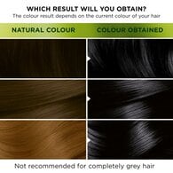 Garnier Nutrisse Permanent Hair Dye 1.1 Infinite Black