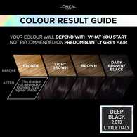 Preference Vivids (Colorista) Hair Dye Deep Black 2.01