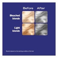 LIVE UrbanMetallics Permanent Silver Hair Dye MetallicSilver