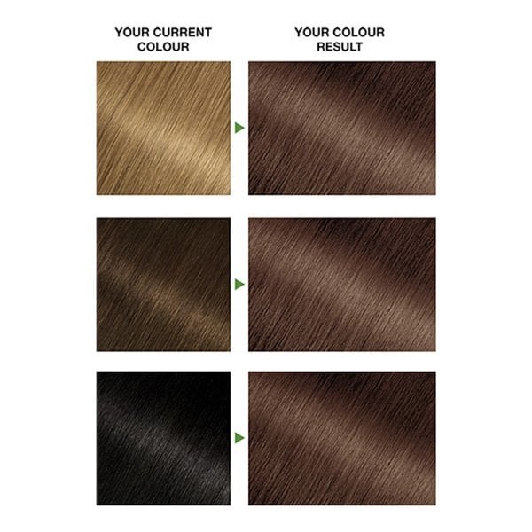 Garnier Nutrisse 6 Light Brown Permanent Hair Dye