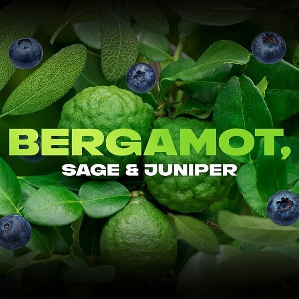 Lynx Fine Fragrance Premium Bodyspray Aqua Bergamot 150ml