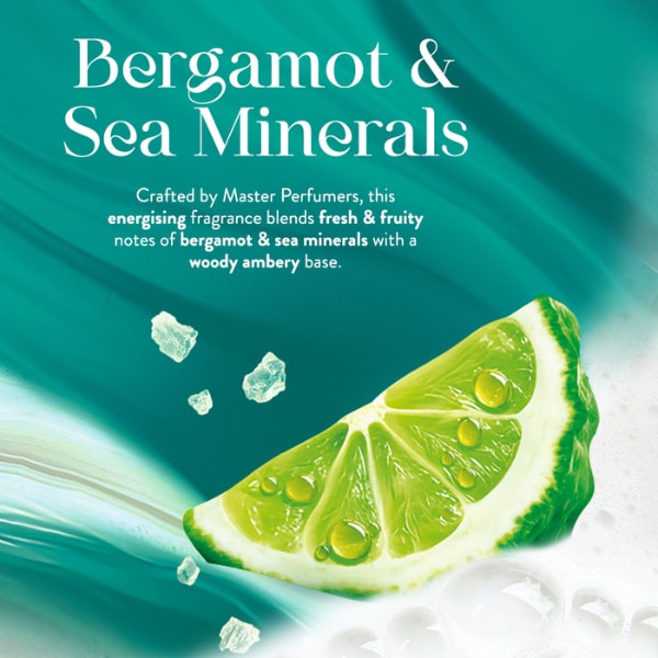 Imperial Leather Bodywash Bergamot & Seasalt 480Ml
