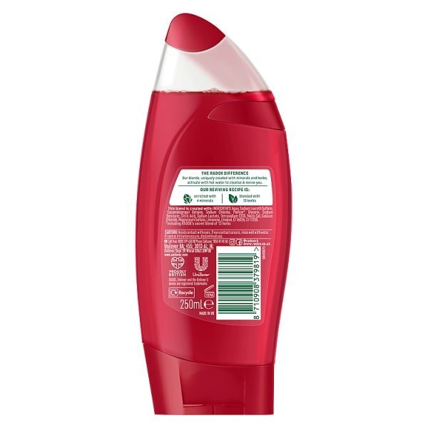 Radox Mineral Therapy Shower Gel Feel Ready 250ml