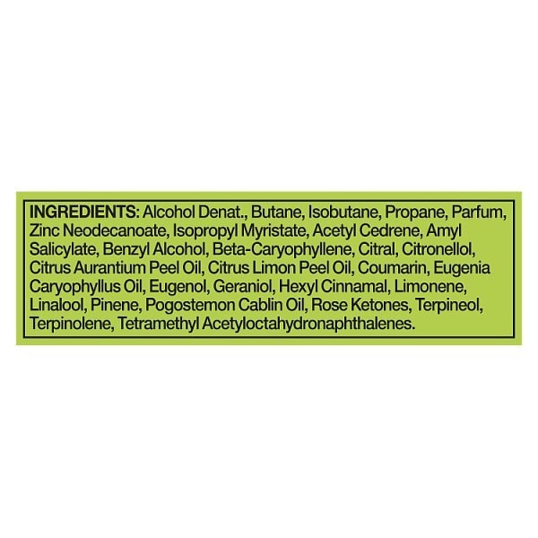 Lynx Epic Fresh Aerosol Body Spray 250 ml