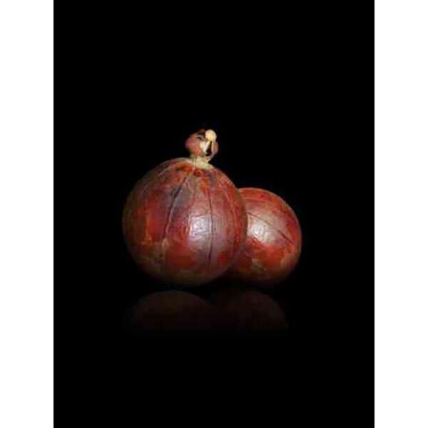 Hugo Boss BOSS The Scent For Him EDT 50ml