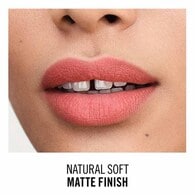 Rimmel Lasting Finish Matte Lipstick - 760 Hazelnut Truffle