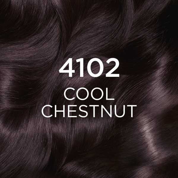 L'Oreal Paris Casting Crème Gloss 4102 Cool Chestnut Hair Dye