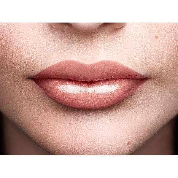 L'Oreal Paris Color Riche Shine Lipstick Topless 658