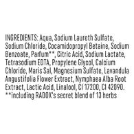 Radox Mineral Therapy Feel Relaxed Shower Gel 225 ml