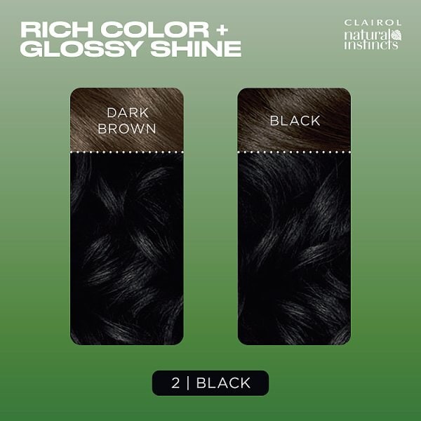 Clairol Natural Instincts Semi-Permanent Hair Dye 2 Black